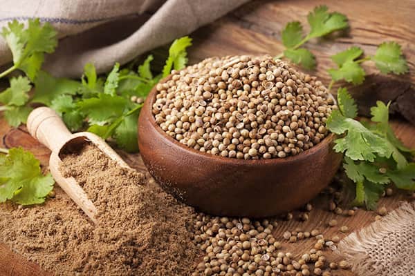 فروش تخم گشنیز سبز + قیمت خرید به صرفه